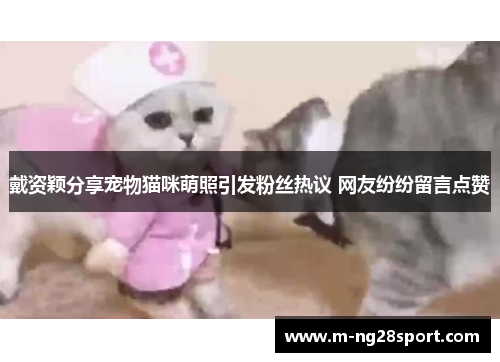 戴资颖分享宠物猫咪萌照引发粉丝热议 网友纷纷留言点赞