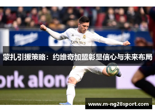 蒙扎引援策略：约维奇加盟彰显信心与未来布局