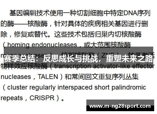 赛季总结：反思成长与挑战，重塑未来之路
