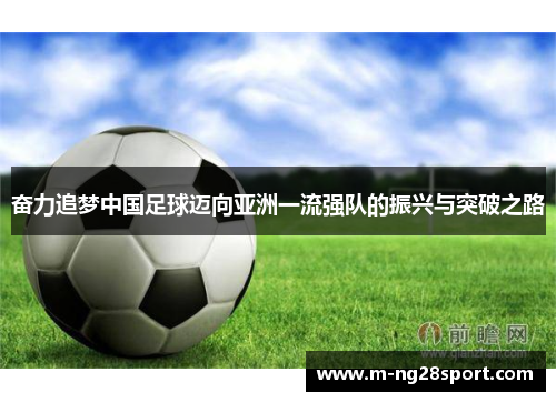 奋力追梦中国足球迈向亚洲一流强队的振兴与突破之路